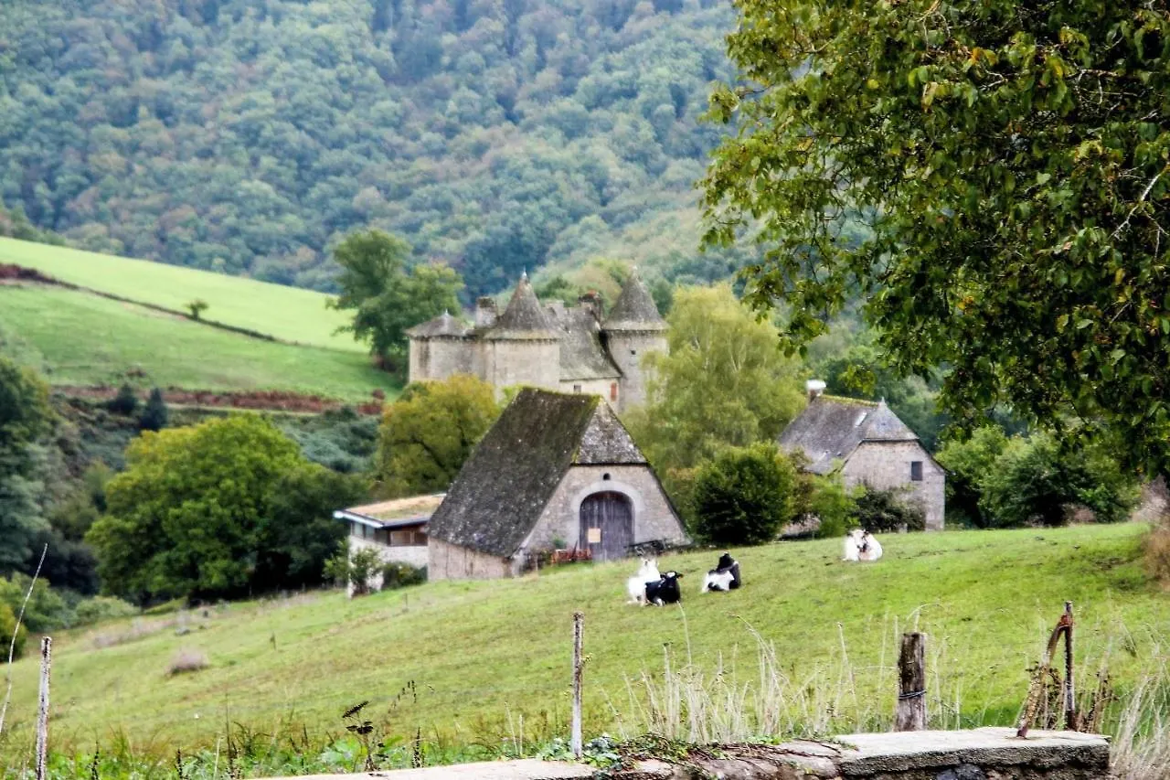 Maison Accueillante A Senezergues Avec Vue Sur La Montagne France